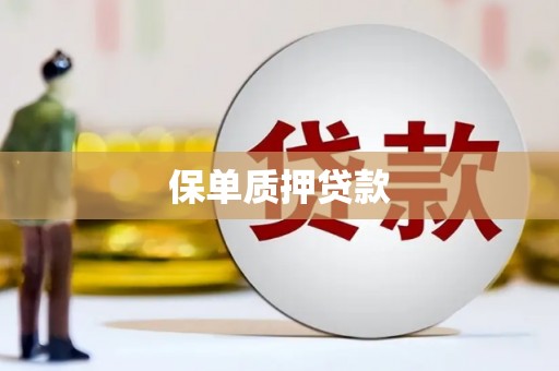 阿勒泰保单质押贷款