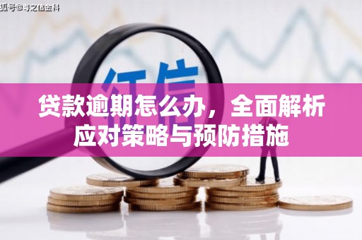 扎兰屯贷款逾期怎么办，全面解析应对策略与预防措施
