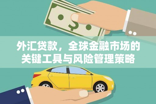 回民外汇贷款，全球金融市场的关键工具与风险管理策略