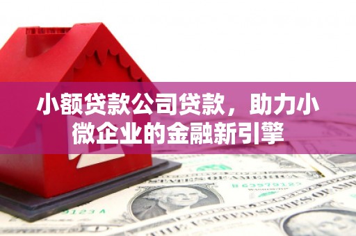 来宾小额贷款公司贷款，助力小微企业的金融新引擎