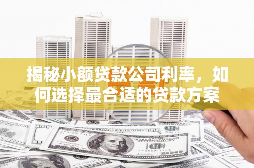 金水揭秘小额贷款公司利率，如何选择最合适的贷款方案