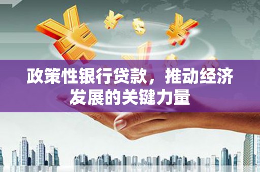靖远政策性银行贷款，推动经济发展的关键力量