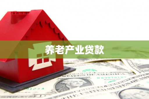 罗平养老产业贷款