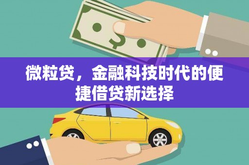 高唐微粒贷，金融科技时代的便捷借贷新选择