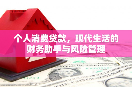 尉犁个人消费贷款，现代生活的财务助手与风险管理