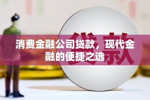 田中消费金融公司贷款，现代金融的便捷之选