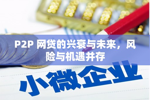 雾台P2P 网贷的兴衰与未来，风险与机遇并存