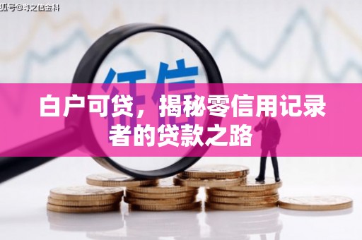 石家庄白户可贷，揭秘零信用记录者的贷款之路