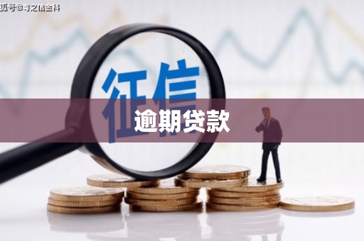 中方逾期贷款
