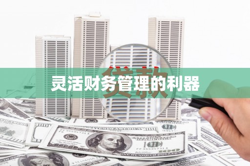 凌源灵活财务管理的利器