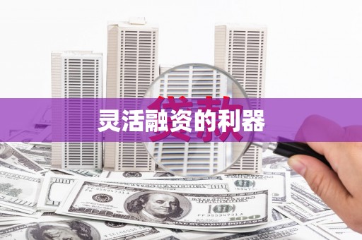 安龙灵活融资的利器