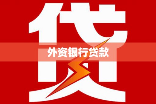漳平外资银行贷款