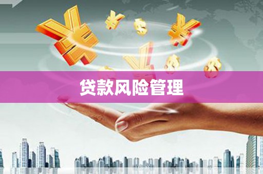 双溪贷款风险管理