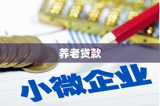 昭平养老贷款